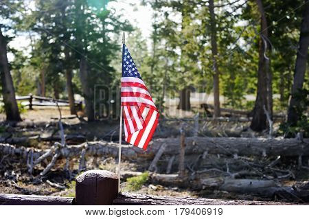 Usa Flag With Nature View On Background
