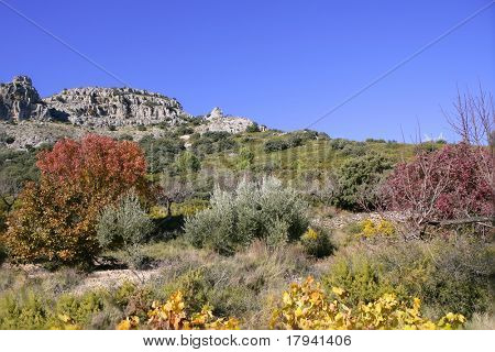 Montagna d'autunno colorato autunno colori Maestrazgo Spagna