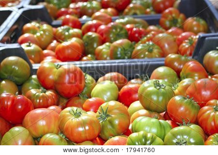 tomates en nourriture végétale de tomate raff marché d'Espagne