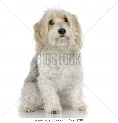 Ублюдок (10 лет)