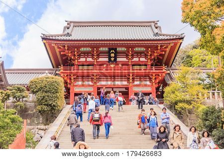KAMAKURA JAPAN - APRIL 14 2014: Tsurugaoka Hachimangu Shrine on April 14 2014 in Kamakura Japan. One the most important Shinto shrine in Kamakura and an Important Cultural Property of Japan