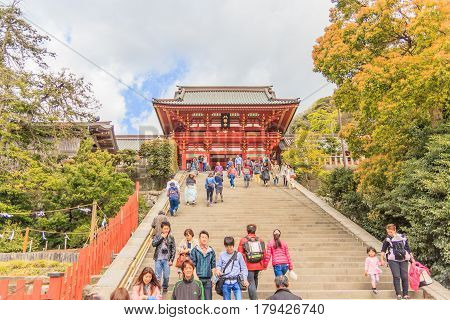 KAMAKURA JAPAN - APRIL 14 2014: Tsurugaoka Hachimangu Shrine on April 14 2014 in Kamakura Japan. One the most important Shinto shrine in Kamakura and an Important Cultural Property of Japan