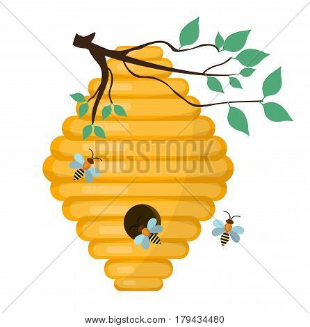 Bee-hive, swarm icon, flat style. Isolated on white background. Vector illustration, clip-art