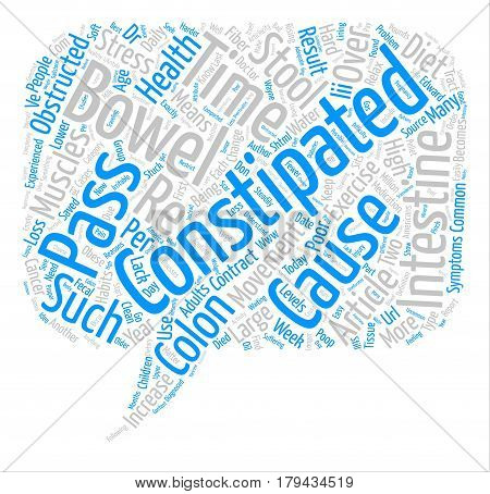 Did You POOP Today text background word cloud concept