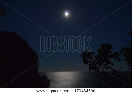 Night landscape with tree on the high hill and mountains, sea and moon are as background.