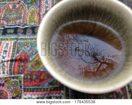 Trees are reflected in a cup with Chinese tea.