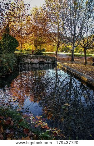 Autumn Landscape With Colorful Leaves, River And Reflections In Water I