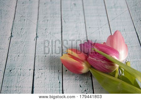 Spring