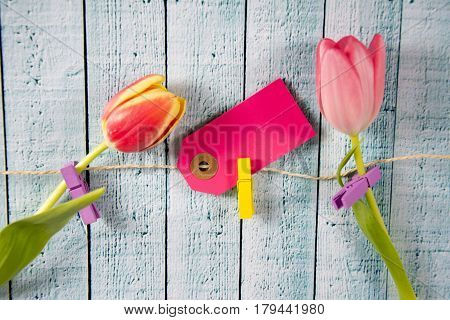 a colourful spring background with beauitiful tulips
