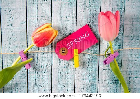 Spring