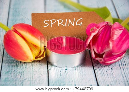 a colourful spring background with beauitiful tulips