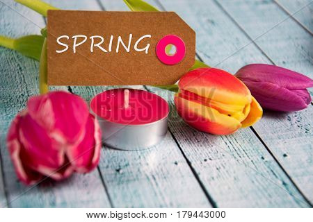 a colourful spring background with beauitiful tulips