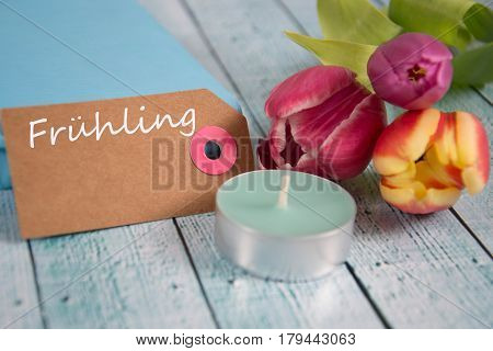Frühling - The German Word For Spring