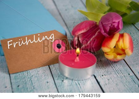 Frühling - The German Word For Spring