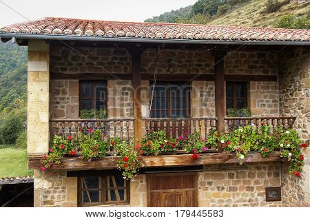 Blooming flowers on the house balcony, Barcena Maior, Asturia, Spain