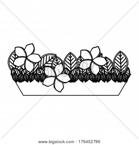silhouette garden flower plantpot decorative vector illustration
