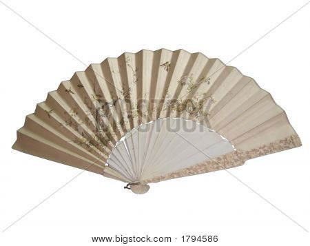 Chinese Fan