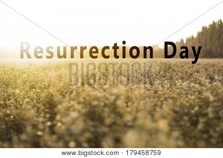 Text RESURRECTION DAY on landscape background. Easter celebration concept