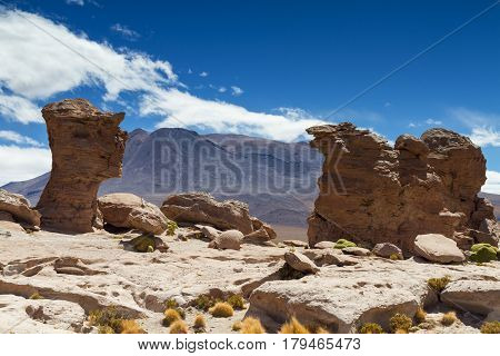 Rock formation at Laguna Turquin Altiplano Bolivia