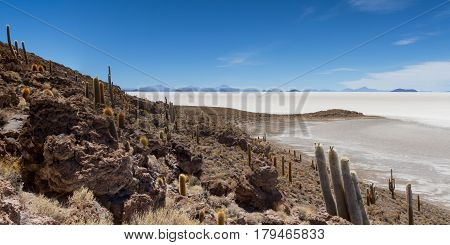 Viewpoint at Isla Pia Pia Salar de Uyuni Bolivia