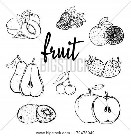 fruit hand drawn outline black and white illustration