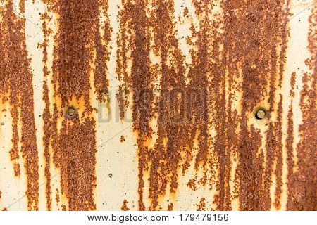 The surface of an old painted rusty steel sheet. Two nail heads. Background or texture.