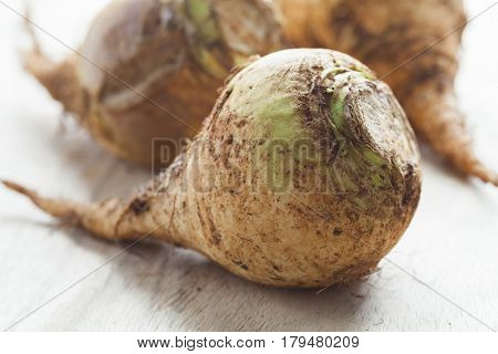 Moroccan fresh raw swedes close up