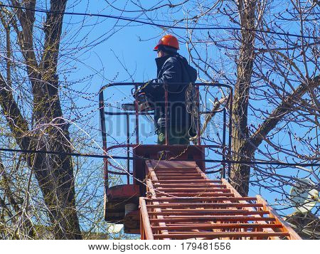 The worker saws the branches of a tree on the stairs