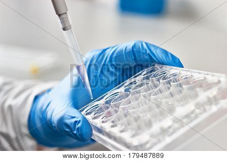 Close up of scientist hands performing drug discovery assay