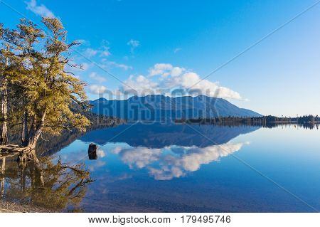 Autumn Landscape Reflected In Lake Waters