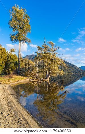 Autumn Trees And Mountain Reflected In Lake