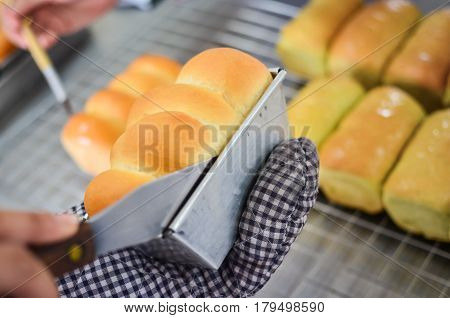 Baked Bread