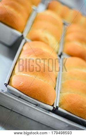 Baked Bread