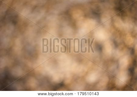 Bright orange brown spotty sunlit background with unusual vintage swirly bokeh
