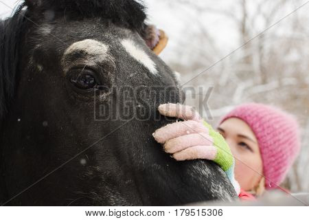 Horizontal outdoors shot of a woman cleaning the crow horse neb with a brush.