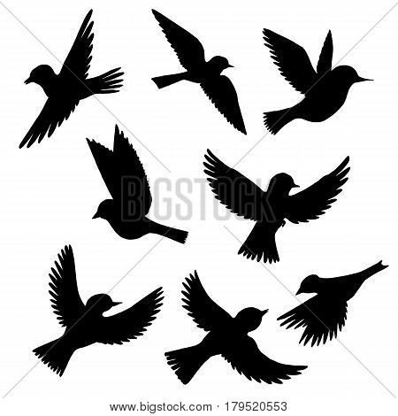 vector set of flying birds silhouettes, hand drawn songbirds, isolated vector elements