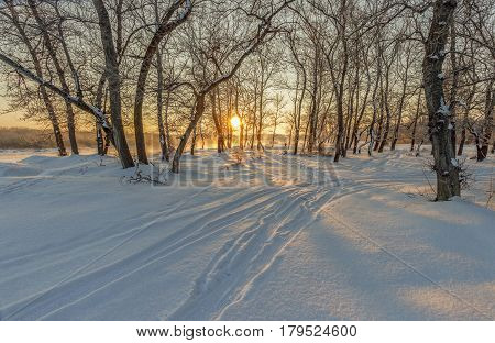 Winter park on which river bank of water soar on a frost and in beams of a rising sun.