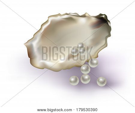 Pearls in an oyster shell on white background