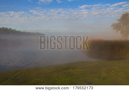 Morning fog on the Irpen river in the town of Irpin