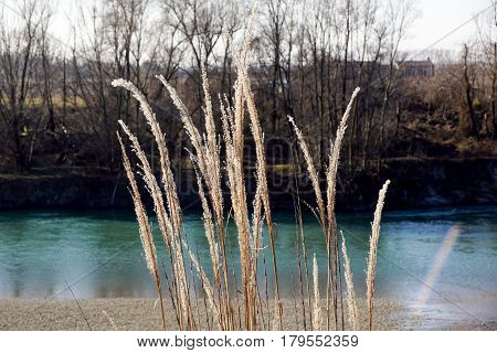 Tranquil stream cuts a deep gorge through the lush river .