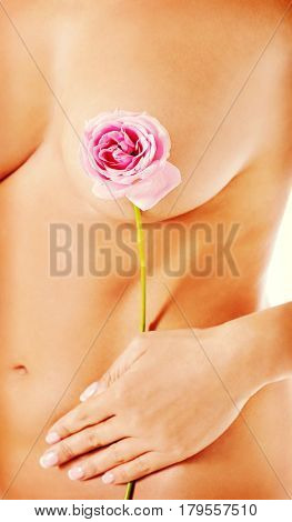 Perfect female body witg pink rose.