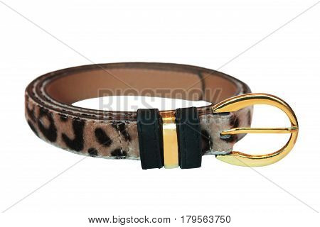 Female belt coiled isolated on white background.
