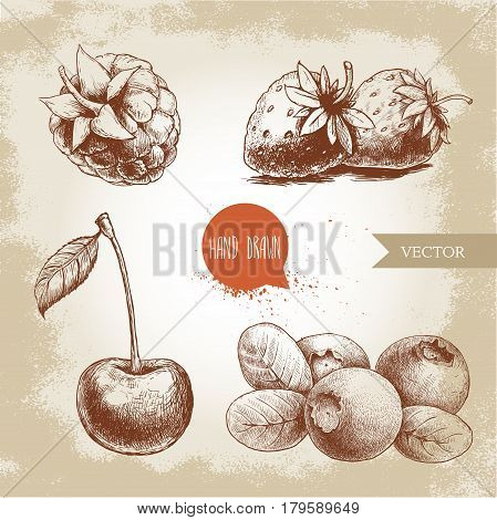 Hand drawn sketch style berries set. Raspberry strawberry cherry and blueberry. Healthy food vector illustration.