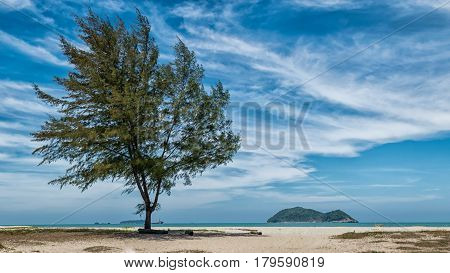 Pine on Samila beach with Noo Islands Songkhla Thailand