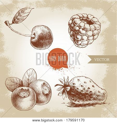 Hand drawn sketch style berries set. Raspberry strawberry cherry and blueberry. Healthy fruit and berry vector illustration.