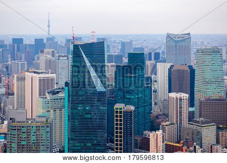 View of Tokyo skyline including Tokyo skytree from Roppongi hill