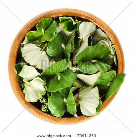 European beech seedlings in wooden bowl. Green edible sprouts of common beech, Fagus sylvatica. Shoots can be eaten raw and are nutritious. Macro food photo close up from above on white background.