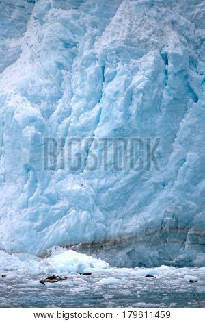 View Of A Glacier In Alaska With Seals On Ice