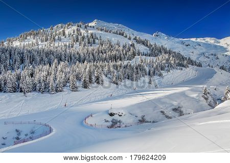 Trees Covered By Fresh Snow In Austria Alps - Zillertal Arena, Austria.