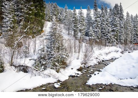 White Trees Covered By Fresh Snow In Alps, Postcard Winter Landscape.